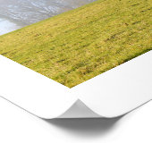 Boom in de winterzon poster (Hoek)