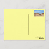 Boom in de woestijn, Zuid-Sinaï, Egypte Briefkaart (Achterkant)