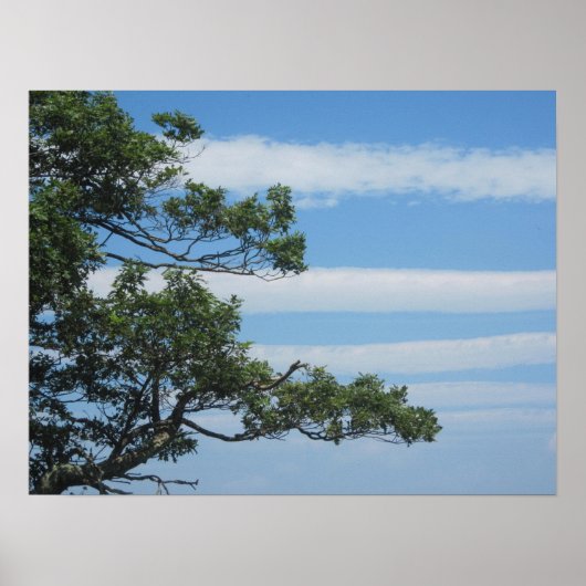 Boom in de wolken poster (Voorkant)