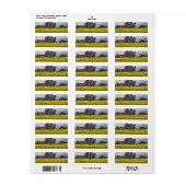 Boom in een gele visie etiket (Full Sheet)