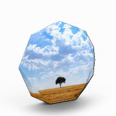 Boom in een geoogst tarweveld fotoblokken (Links)