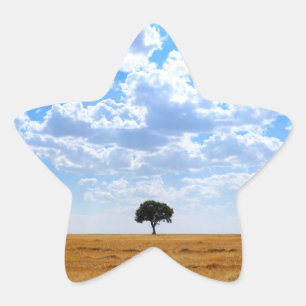 Boom in een geoogst tarweveld ster sticker