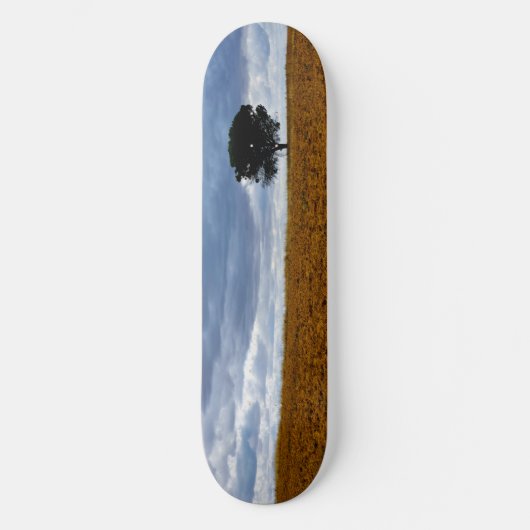 Boom in een leeg veld persoonlijk skateboard (Voorkant)