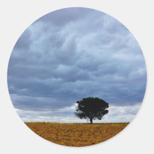 Boom in een leeg veld ronde sticker