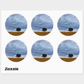 Boom in een leeg veld ronde sticker (Vel)