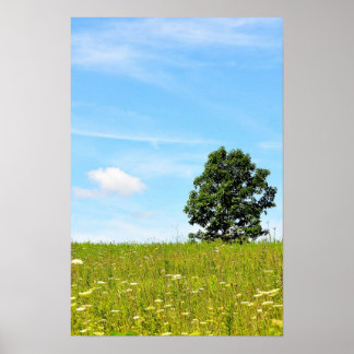Boom in een Poster veld
