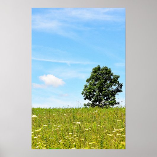 Boom in een Poster veld (Voorkant)