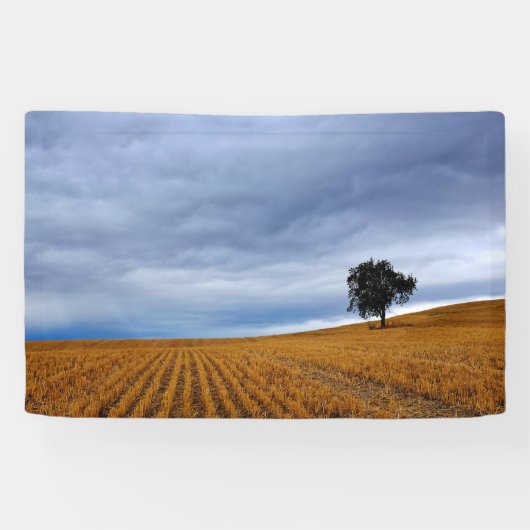 Boom in een tarweveld spandoek (Horizontaal)