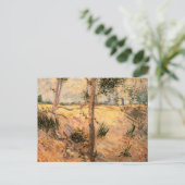 Boom in een veld op een zonnige dag door Vincent v Briefkaart (Staand voorkant)