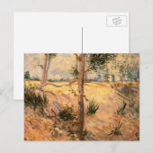 Boom in een veld op een zonnige dag door Vincent v Briefkaart (Voorkant / Achterkant)