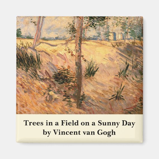 Boom in een veld op een zonnige dag door Vincent v Magneet (Voorkant)