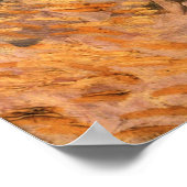 Boom in een veld op een zonnige dag door Vincent v Poster (Hoek)