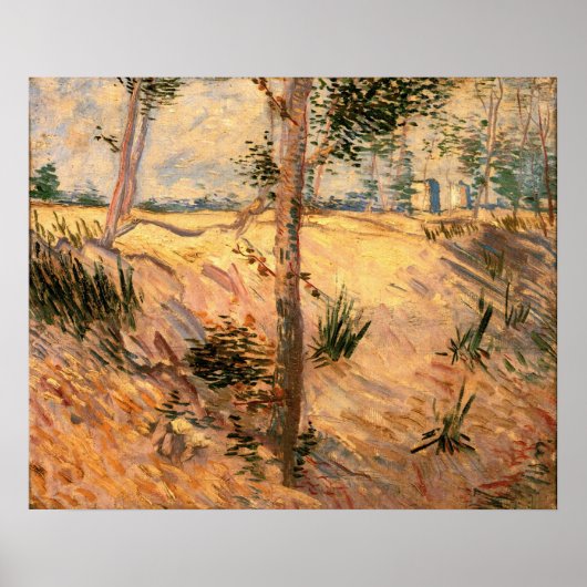 Boom in een veld op een zonnige dag door Vincent v Poster (Voorkant)