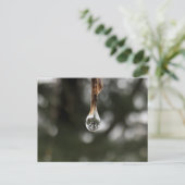 Boom in een waterdruppeltje Briefkaart (Staand voorkant)