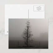 Boom in Fog 038 Post Card Briefkaart (Voorkant / Achterkant)