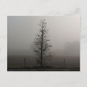 Boom in Fog 038 Post Card Briefkaart