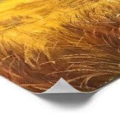 Boom in Golden Light Poster (Hoek)