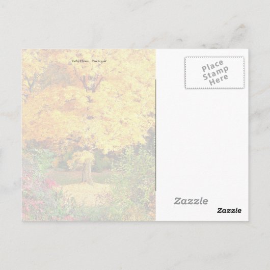 Boom in goud briefkaart (Achterkant)