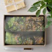 Boom in herfstfotografie tissuepapier (Geschenk)