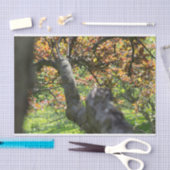 Boom in herfstfotografie tissuepapier (Craft)