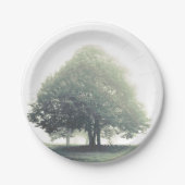 Boom in het bord van het mist (Voorkant)