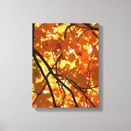 Boom in het najaar canvas afdruk