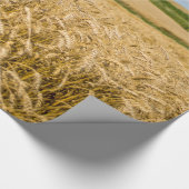 Boom in het Wheat Field Landscape Cadeaupapier (Hoek)