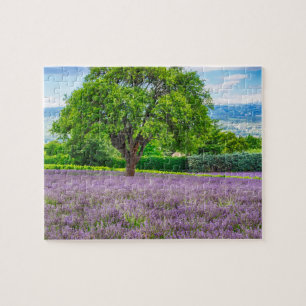 Boom in lavendelveld, Frankrijk Legpuzzel