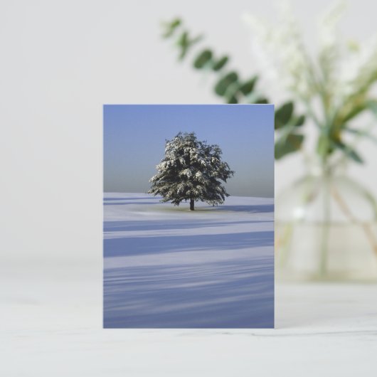 Boom in met sneeuw bedekt landschap briefkaart (Staand voorkant)