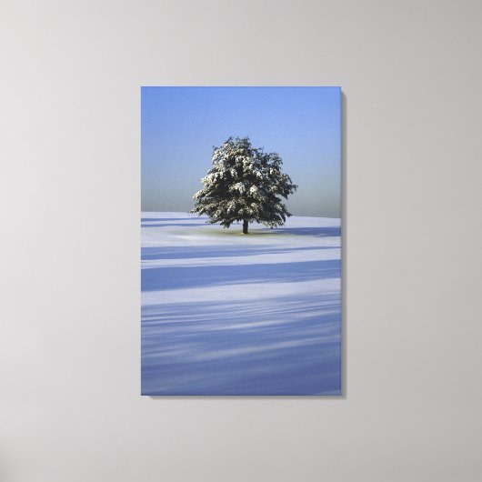 Boom in met sneeuw bedekt landschap canvas afdruk (Voorkant)