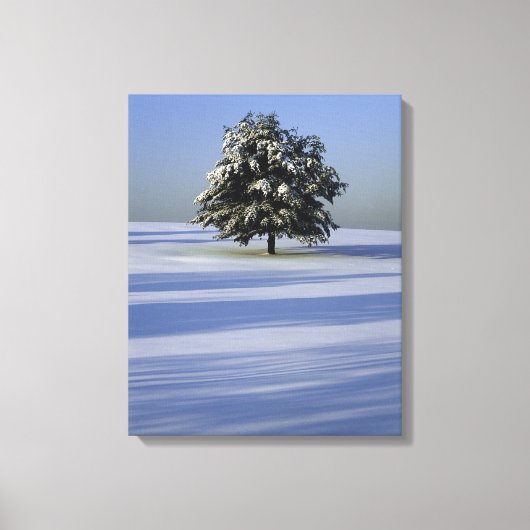 Boom in met sneeuw bedekt landschap canvas afdruk (Voorkant)