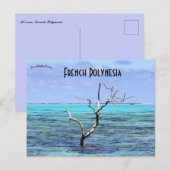 Boom in Mo'orea Frans-Polynesië Briefkaart (Voorkant / Achterkant)