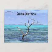 Boom in Mo'orea Frans-Polynesië Briefkaart (Voorkant)