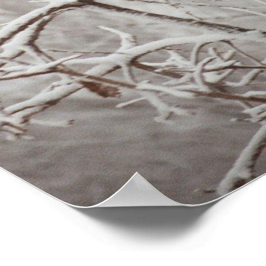 Boom in Poster Snowstorm (Hoek)