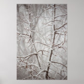 Boom in Poster Snowstorm (Voorkant)