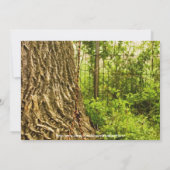 Boom in Swing Country Wedding Invitding w Birds Kaart (Achterkant)