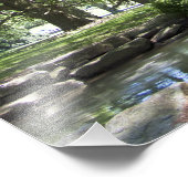 Boom in voorjaarsfoto's van 20 x 16 inch foto afdruk (Hoek)