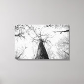 Boom in zwart-wit canvas afdruk (Voorkant)