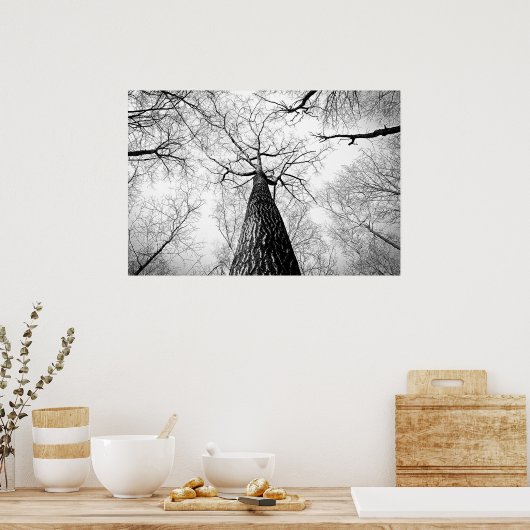 Boom in zwart-wit poster (Keuken)