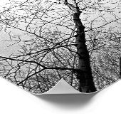 Boom in zwart-wit poster (Hoek)