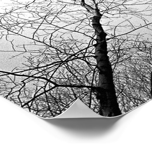 Boom in zwart-wit poster (Hoek)