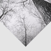 Boom in zwart-wit tissuepapier (Detail)