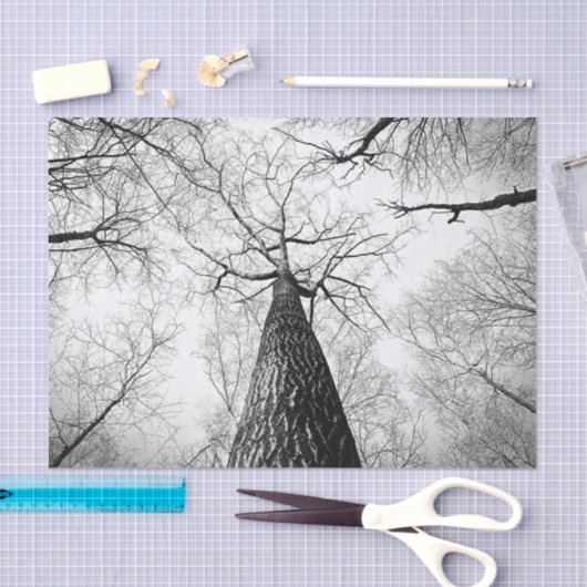 Boom in zwart-wit tissuepapier (Craft)