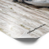 Boom-inslikken, nieuwe eigenaar van Nestbox Foto Afdruk (Hoek)