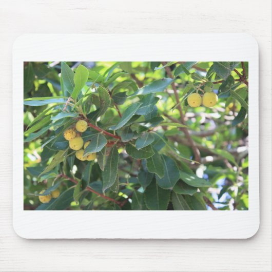 Boom, Italië Muismat (Voorkant)