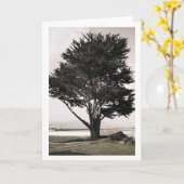 Boom Kaart (Gele Bloem)