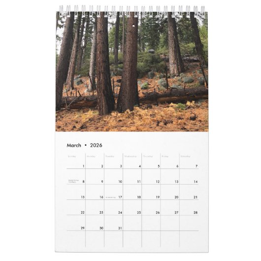 Boom Kalender (Mar 2026)