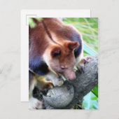 Boom Kangaroo Aankondigingskaart (Voorkant / Achterkant)