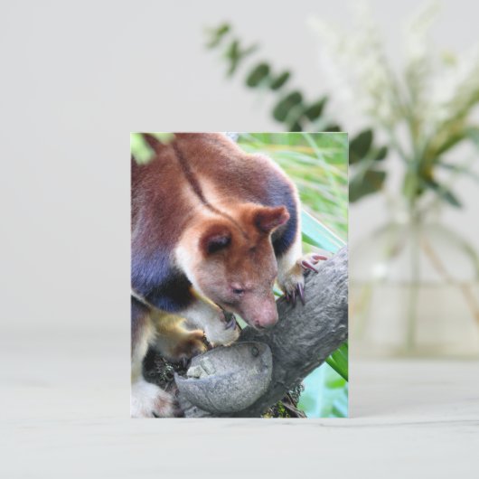 Boom Kangaroo Aankondigingskaart (Staand voorkant)