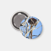 Boom Kangaroo Magnet (Voorkant / Achterkant)